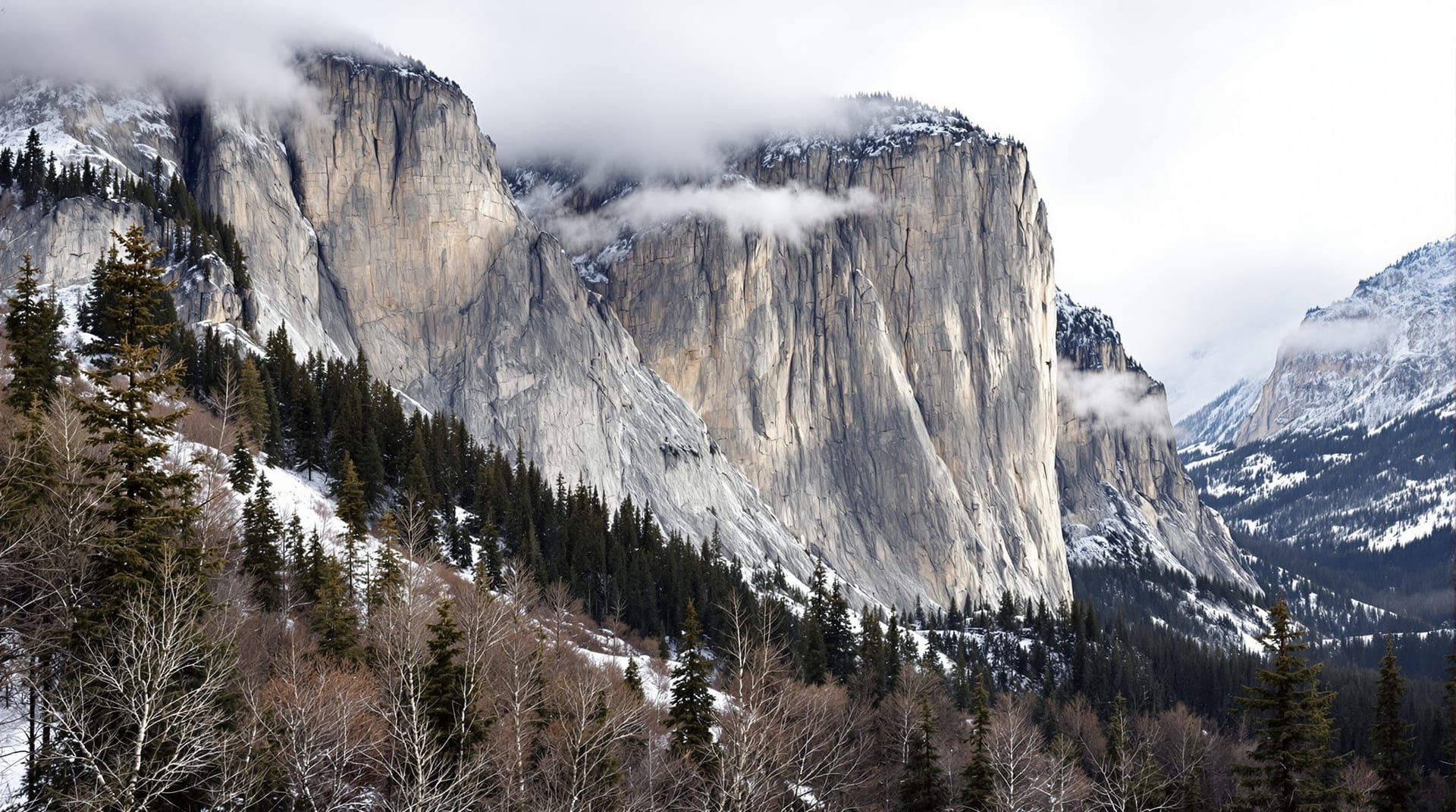 Limestone escarpment above an evergreen valley in the Canadian Rockies under low cloud
