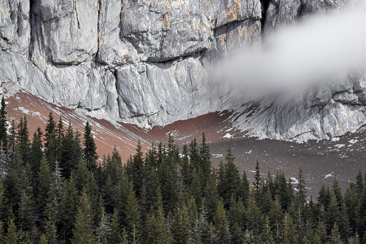 Larch and pine below a limestone escarpment in the Canadian Rockies with low cloud on the rock face